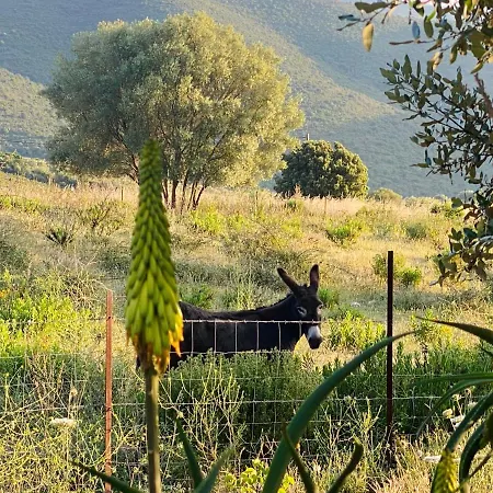 Tente Inuit Cocooning Glamping *