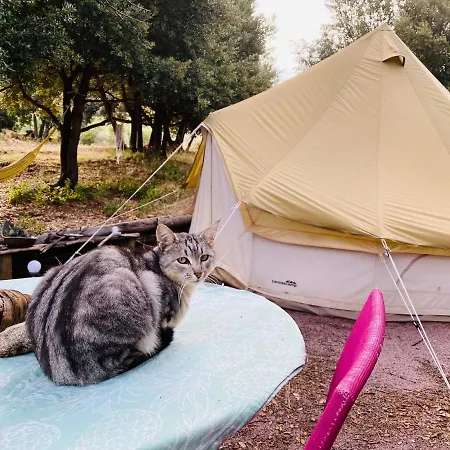 Glamping Tente Inuit Cocooning