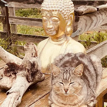 Tente Inuit Cocooning Urtaca