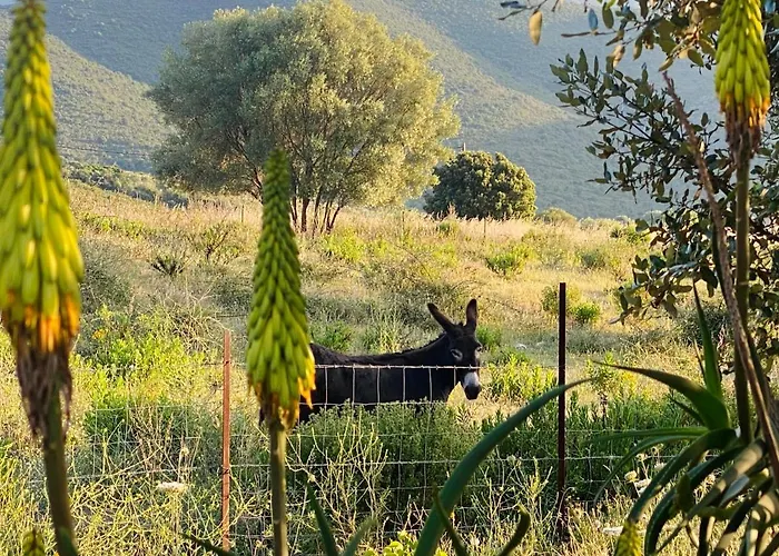 Tente Inuit Cocooning Tente de luxe *