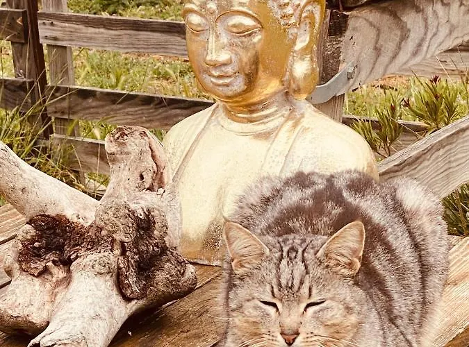 Tente Inuit Cocooning Urtaca